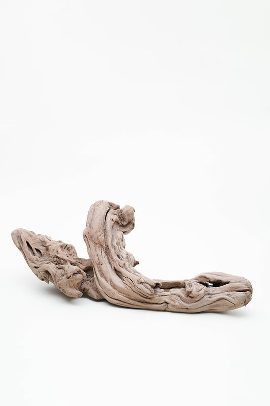 Drift wood